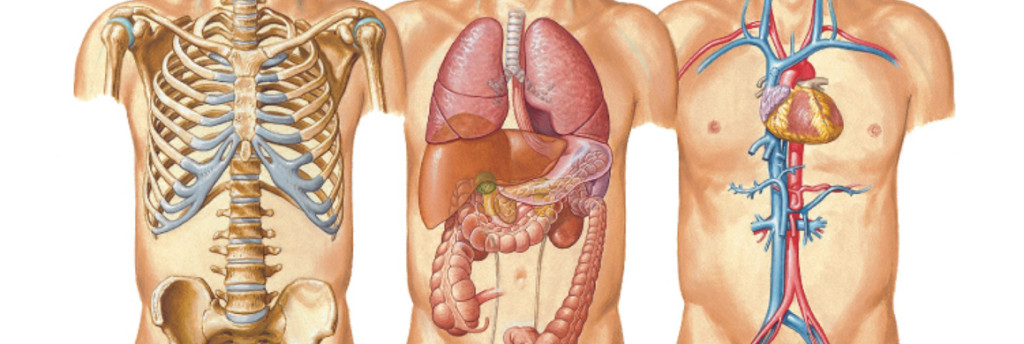 égési sérülések kezelése diabetes mellitus otthon